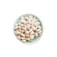 Lima Bean | List of Beans Names in English