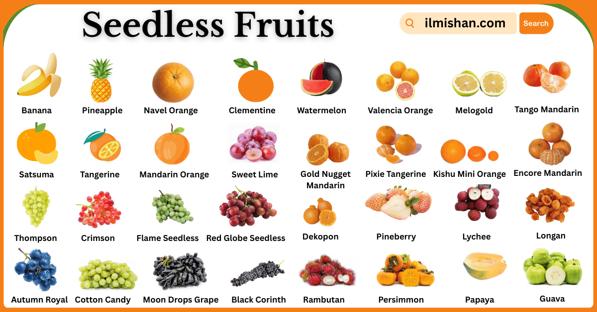 List of Seedless Fruits with Names and Pictures