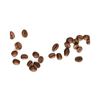 Madagascar Bean | List of Beans Names in English