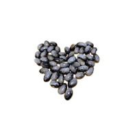 Magpie Bean | List of Beans Names in English