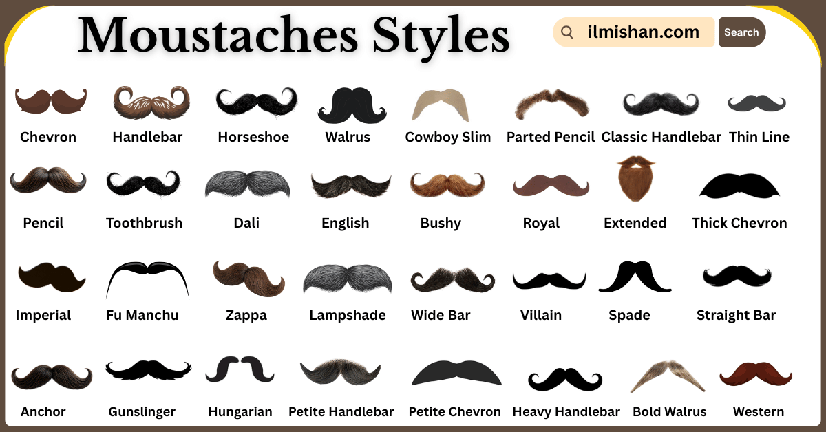Moustaches Styles and Their Names in English with Pictures