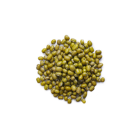 Mung Bean