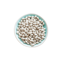 Navy Bean | List of Beans Names in English