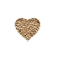 Pinto Bean | List of Beans Names in English