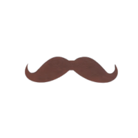 Royal | Moustaches Styles and Their Names