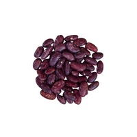Scarlet Beauty Bean