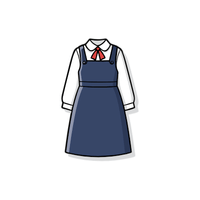 School dress