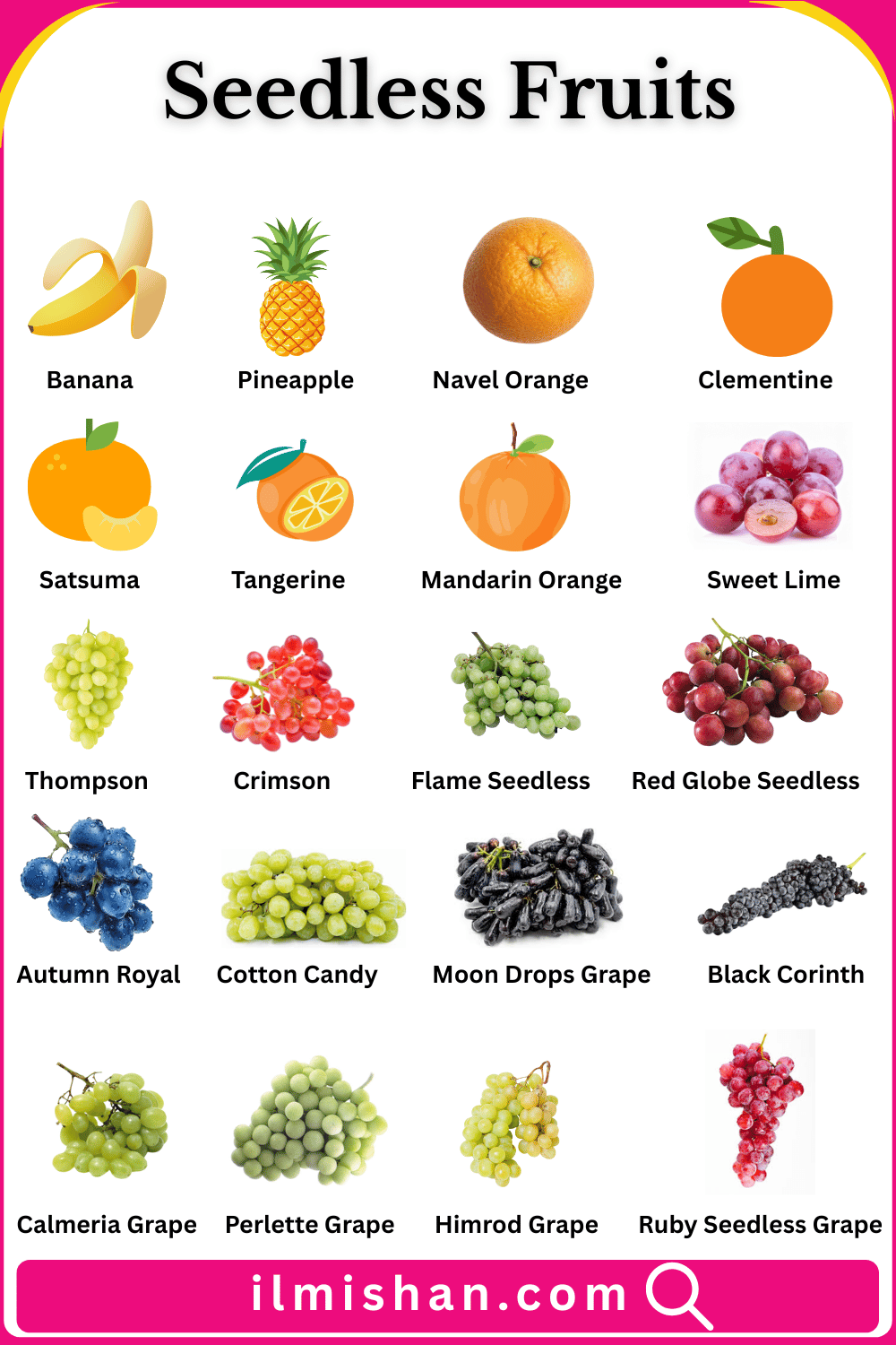 Seedless Fruits with Names and Their Pictures