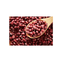 Soldier Bean
