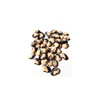 Speckled Lima Bean