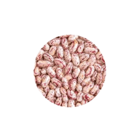 Sugar Bean | List of Beans Names in English