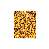 Tepary Bean | List of Beans Names in English