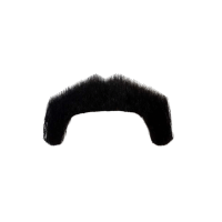 Trucker | Moustaches Styles and Their Names