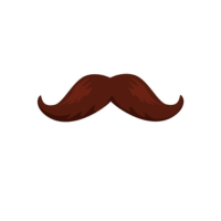 Western | Moustaches Styles and Their Names
