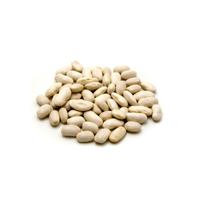 White Bean | List of Beans Names in English