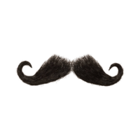 Wide Bar | Moustaches Styles and Their Names