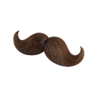 Zappa | Moustaches Styles and Their Names
