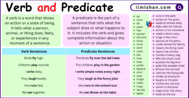 Difference Between Verb and Predicate in English with Examples
