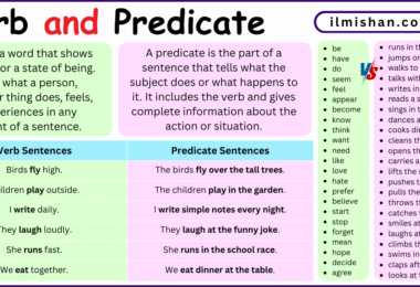 Difference Between Verb and Predicate in English with Examples