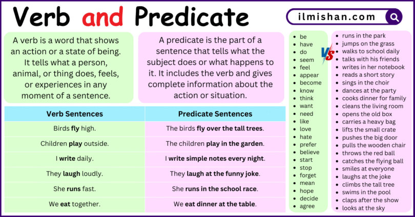 Difference Between Verb and Predicate in English with Examples