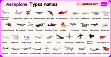 Different Types of Aeroplanes with Names and Pictures