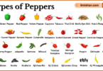 Different Types of Peppers with Names and Pictures
