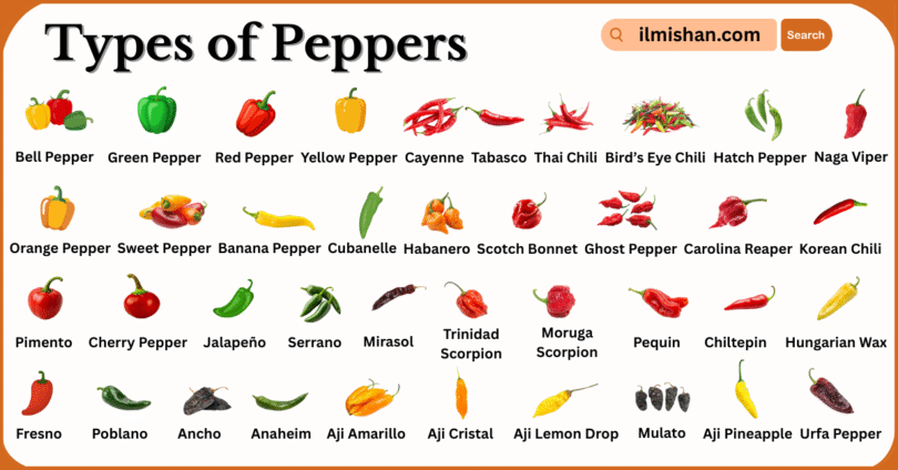 Different Types of Peppers with Names and Pictures