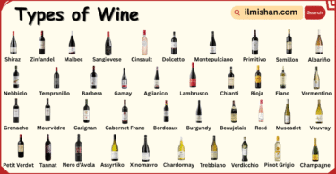 Different Types of Wine with Names in English with Their Pictures