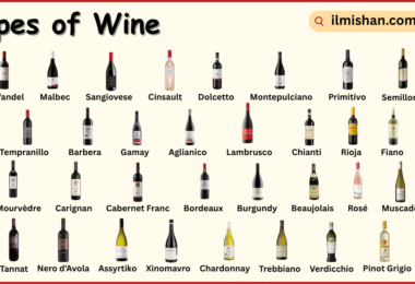 Different Types of Wine with Names in English with Their Pictures