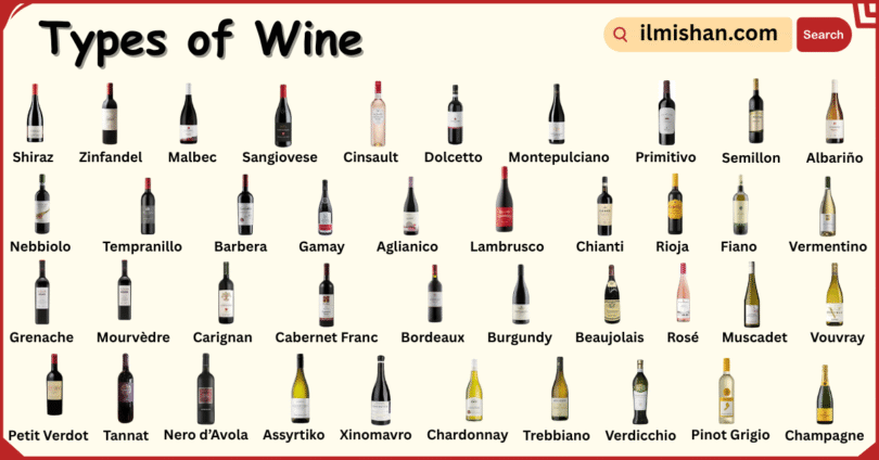 Different Types of Wine with Names in English with Their Pictures
