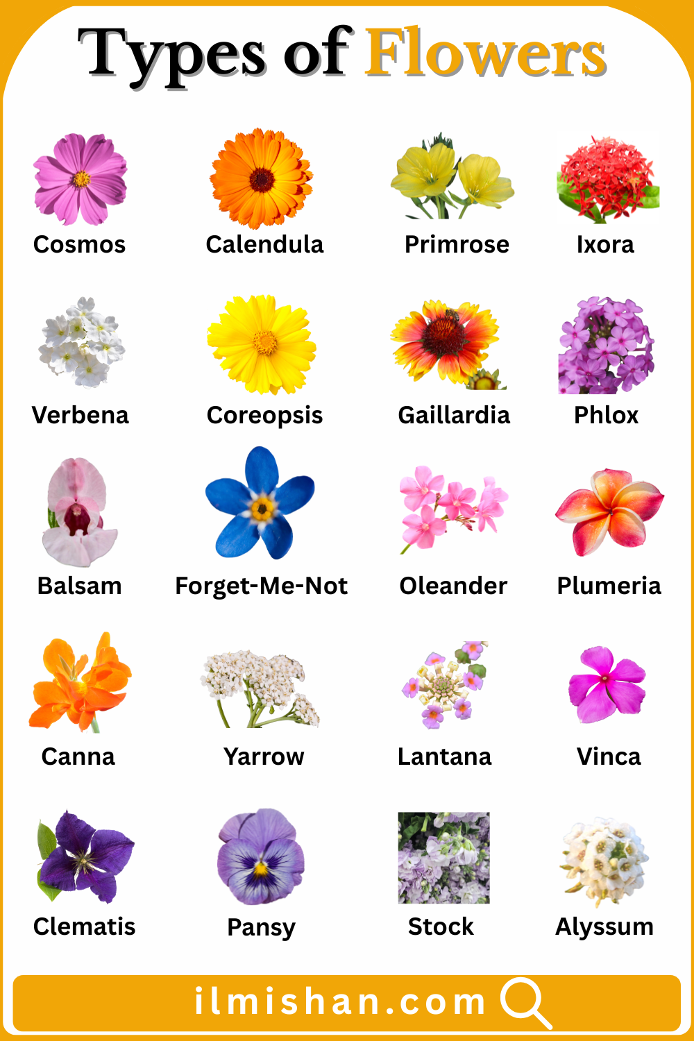 20 Names of Flowers in English