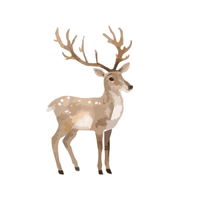 Alpine Deer