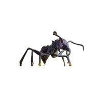 Amazon Ant