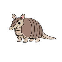 Armadillo lizard
