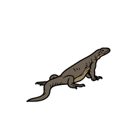 Chuckwalla