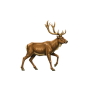 Dark-Coat Deer | Types of Deer with Names in English