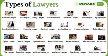 Different Types of Lawyer with Names in English with Pictures
