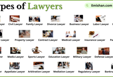 Different Types of Lawyer with Names in English with Pictures