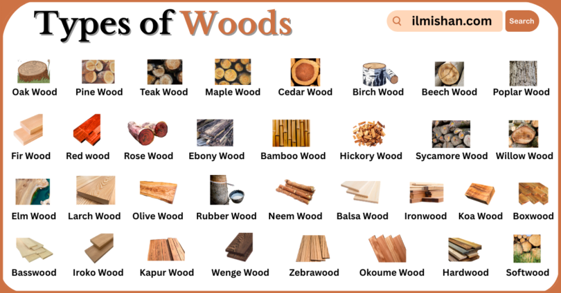 Types of Woods for furniture with Names with Pictures