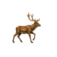 Endangered Deer | Types of Deer with Names in English