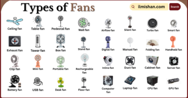 Types of Fans with Names in English with Pictures
