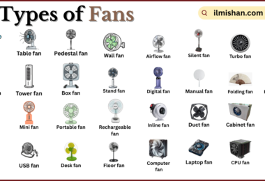 Types of Fans with Names in English with Pictures
