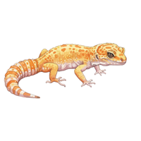 Gecko | Types of Reptiles with Names in English