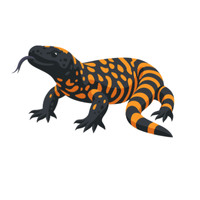 Gila monster