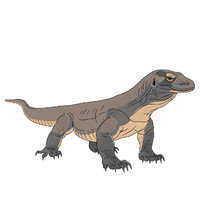 Komodo dragon | Types of Reptiles with Names in English