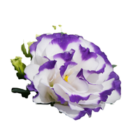 Lisianthus | Types of Flowers in English with Pictures