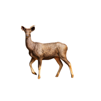 Sambar Deer | Types of Deer with Names in English