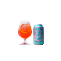 Sour Ale | Types of Beer