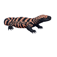 Tree lizard | Types of Reptiles with Names in English