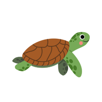 Turtle | Types of Reptiles with Names in English